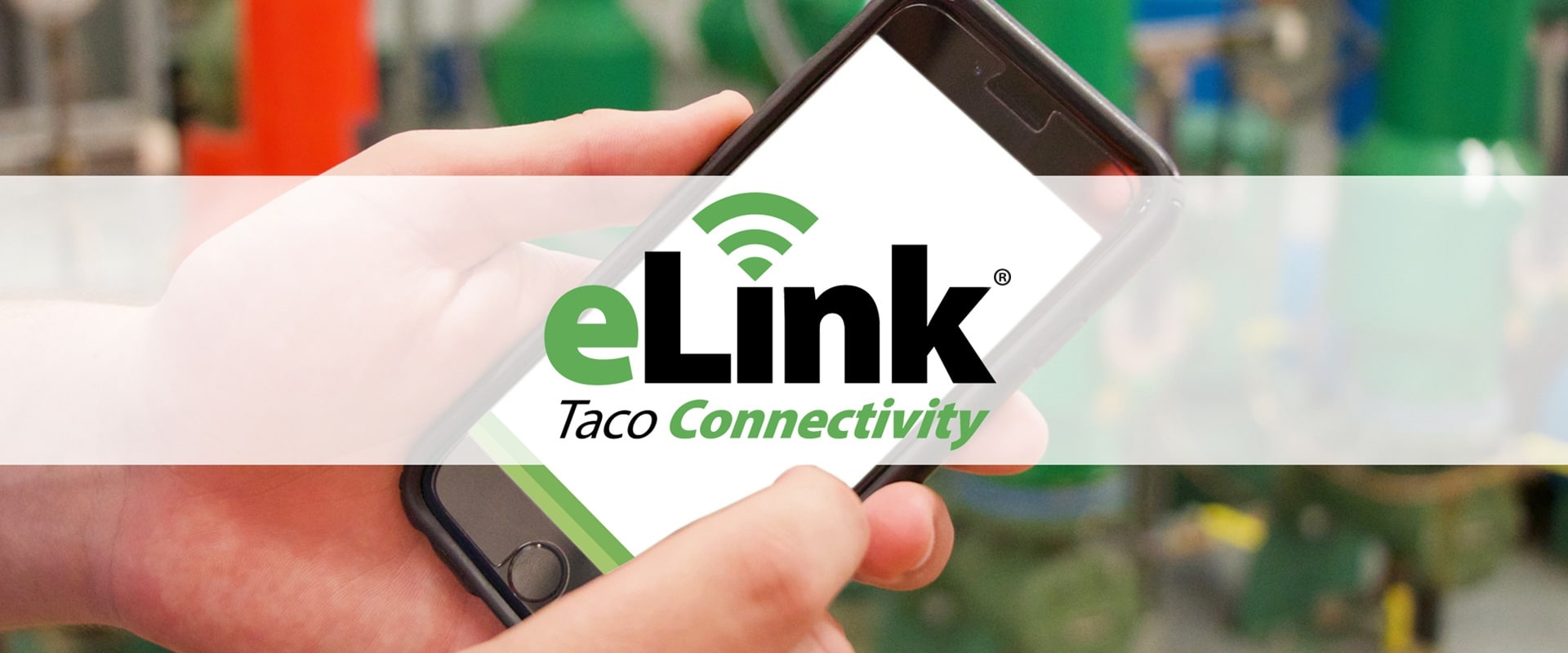 elinks vs links